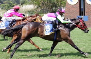 Split The Breeze breaks the ice for Brave Tin Soldier at Clairwood