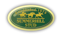 Summerhill logo