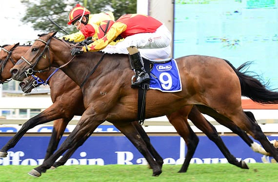 Tellina wins the Gr3 London News at Turffontein 2014-01-12