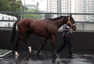 Vercingetorix arrives in Sha Tin