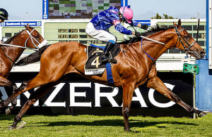 Captain America wins the CTS Ready To Run at Kenilworth 23-11-2013