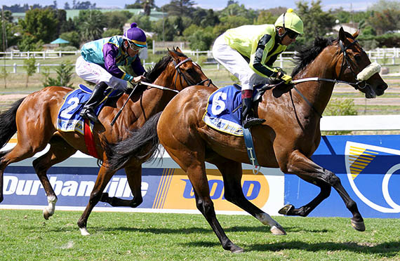 Listed In Full Flight Handicap 2014 Preview | Sporting Post