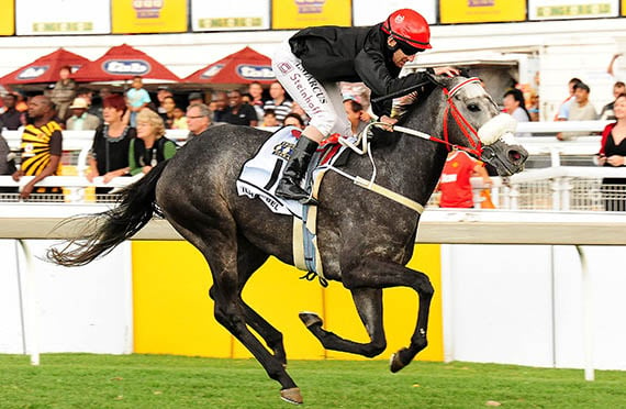 Ilha Bela wins the Gr2 SA Oaks 2012-04-28