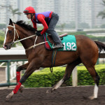 2014 Champions Mile - Blazing Speed track work