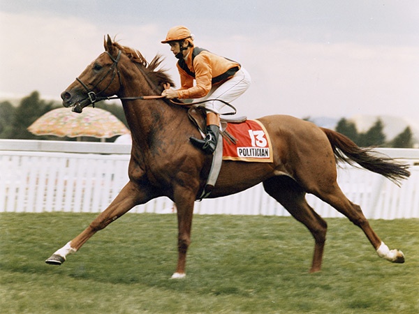 Politician - former winner of the Cape Guineas