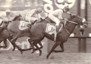 1994 Gr1 Topsport Bloodline Derby - FIRE ARCH - finish