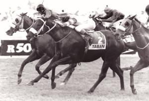 1994 Gr2 Chairman's Stakes - TABAN - finish
