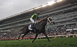 2014 Hong Kong Champions Mile