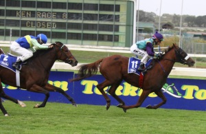 Glen Hatt pushes the Daneill Dancer filly Acrostar out to win the feature (Equine Edge)