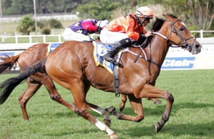 Alexander powers home to beat former SA Derby runner up Gothic in the Highland Night Cup