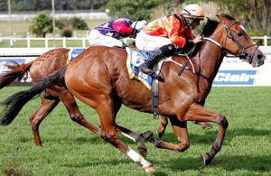 Alexander wins the Clairwood on 14-05-11