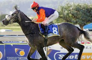 All Is Secret wins the Gr3 Poinsettia Stakes at Scottsville on 13-04-28