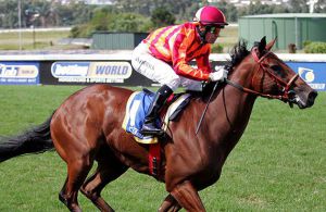 Balkan wins at Clairwood on 14-04-08