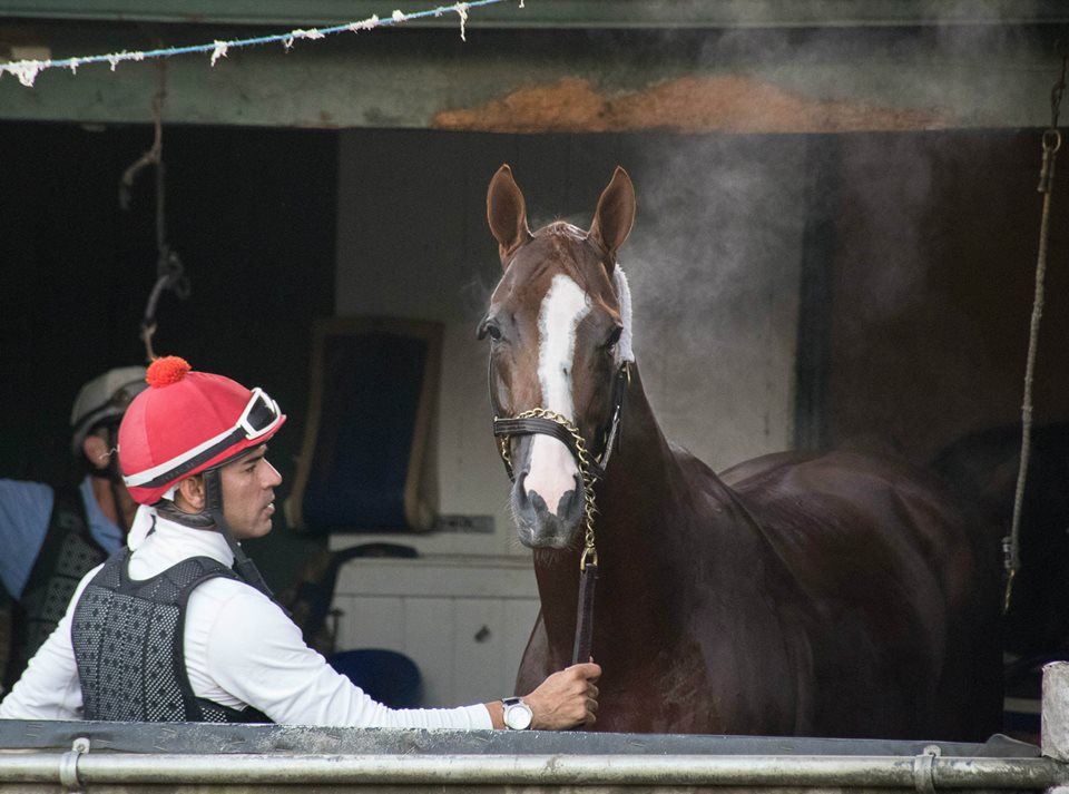 California Chrome