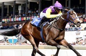 Carry On Alice wins the Gr1 SA Nursery at Turffontein on 2014-04-26