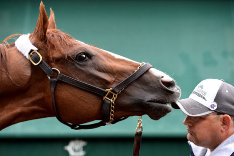 California Chrome and Alan Sherman