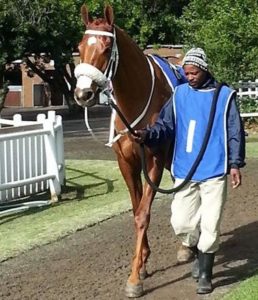 Corday looking relaxed before her win