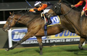 Double Clutch gets up to beat Pilgovan Star in the final race at Greyville