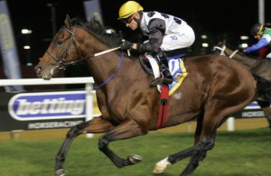 Champions Cup winner Futura amongst nominees