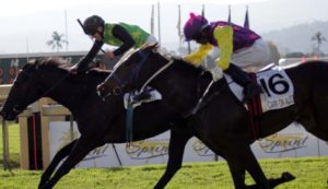 Guiness gets up to win Tsogo Sun Medallion_compressed
