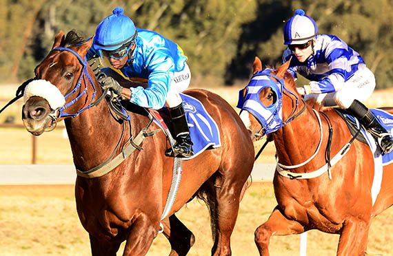 Here Comes Billy wins at Vaal on 2013-08-31