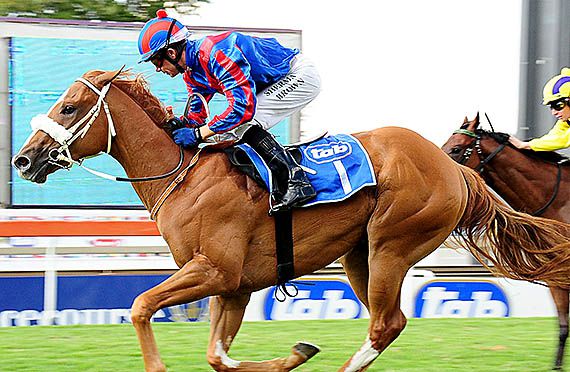 Jimmi Choo wins the Listed Storm Bird Stakes at Turffontein 2013-03-09