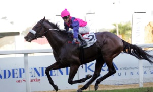 Legislate - Snaith's big gun last season