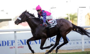 Legislate - Horse Of The Year