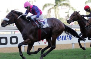 Legislate(Richard Fourie) storms clear to win the Gr1 Daily News 2000