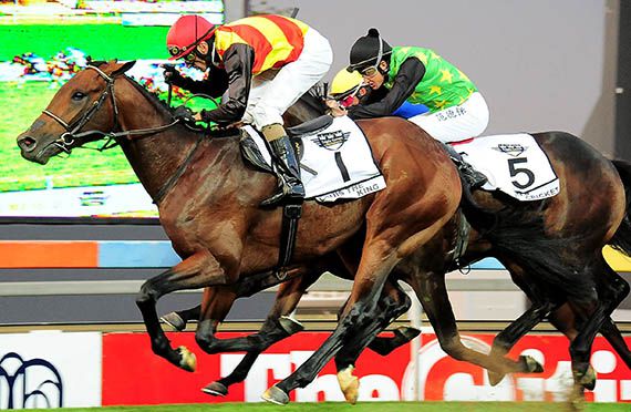 Louis The King wins the Gr1 SA Classic at Turffontein on 2014-03-29