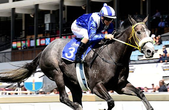 Majmu wins the Gr2 Fillies Nursery at Turffontein 2014-04-26