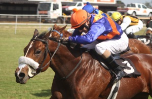Anton Marcus wins on Wisteria Way in his first ever ride in Zimbabwe (Gavin Mcleod)