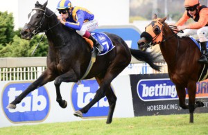 Gavin Lerena guides Master Sabina to an easy win (JC Photos)