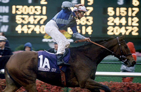 Miesque wins the 1988 Breeder's Cup Mile