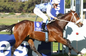 Kingvoldt strolls in under Bernard Fayd'herbe to win the Cape Of Good Hope Nursery (Equine Edge)