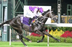 War Affair wins the Singapore Guineas (Liesl King)