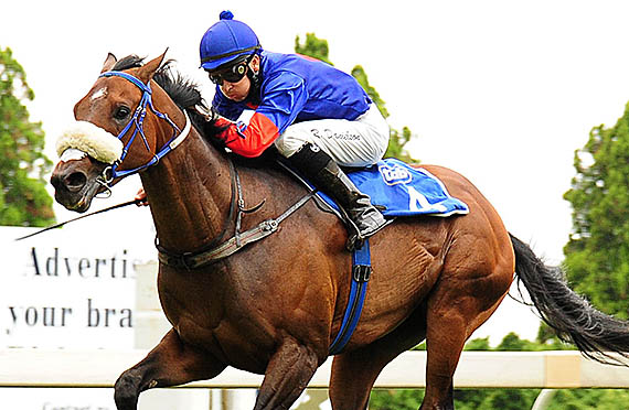 Whiteline Fever wins the Gr2 Hawaii Stakes at Turffontein 2013-03-02