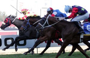 Wild One wins Gr3 Lonsdale Stirrup Cup_compressed