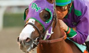 California Chrome's nasal strip