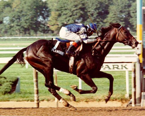 1981 Kentucky Derby