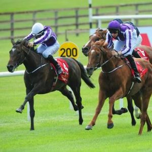 Australia powers away from the field in the 2014 Irish Derby