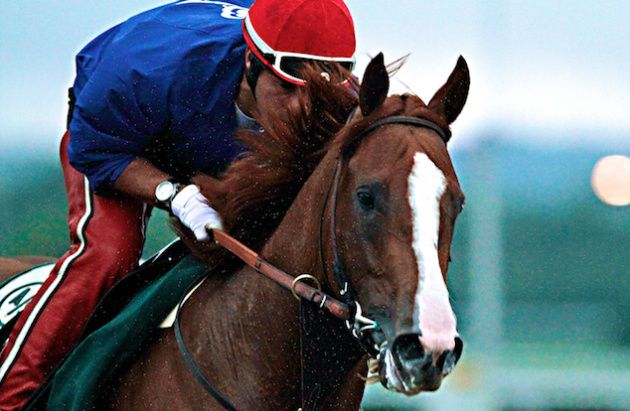 California Chrome