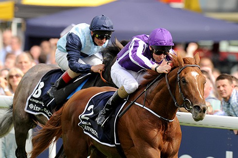 Australia wins the 2014 Investec Derby 