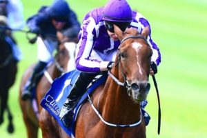 Australia is one of the best O'Brien has ever trained