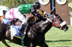 Anton Marcus steers Beloved Country through to win the Devon Air Stakes