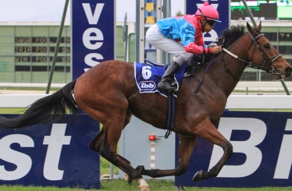 Relentless galloper Blarney Bay didn't stop last time