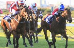 Grant Van Niekerk keeps Butterfly Girl at it to beat Priceless Jewel(outside) in a thriller (Bay Media)