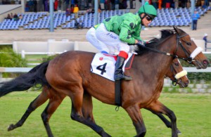 Variety Star finishes strongly under Richard Fourie to seal the Var trifecta (Coastal Photos)