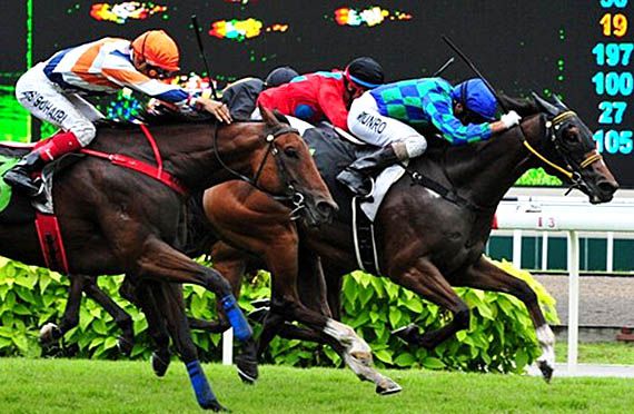 Gold Rutile wins in Singapore on  17-11-13