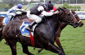 Brett Crawford's Gulf Storm won a cracker at the course last time
